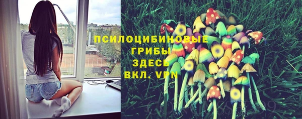 винт Богородицк
