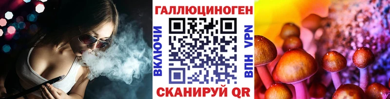 даркнет сайт  мега онион  Псилоцибиновые грибы GOLDEN TEACHER  Горняк 